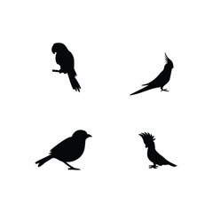Fototapeta premium Bird silhouette