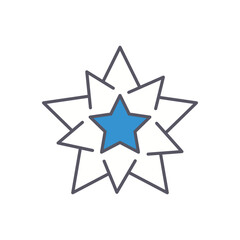 Obraz premium STAR vector icon stock illustration