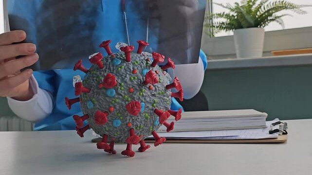 Health professional examining chest X-ray while discussing virus model in clinic setting