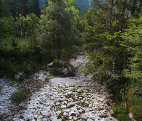 River bed in drought. Sunikov Vodni Gaj Nature Preserve, Slovenia © bepsphoto
