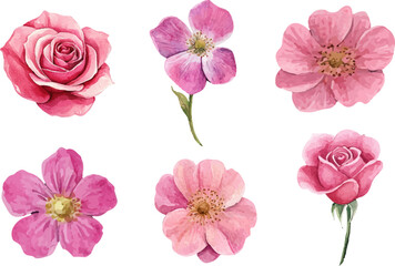 Artistic Watercolor Pink Rose