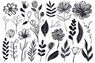 A detailed collection of black and white floral illustrations featuring various flowers, leaves, and botanical elements in a decorative style. Vector illustration