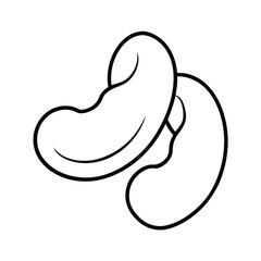 vector illustration of an cashews
