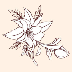 hand drawn outline flowers illustration. Line Drawing flower. hand drawn sketch of flowers illustration. 