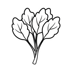 vector illustration of a spinach.