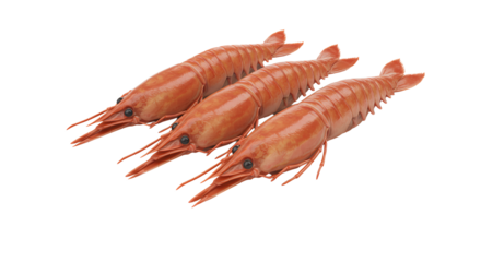 Fresh Red Shrimp Displayed on a White Background for Culinary Inspiration