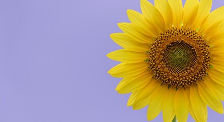 Obraz premium Sunlit Majesty AI Generated