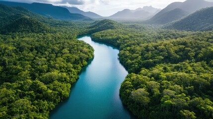 A stunning view of a meandering river flowing through mountainous terrain, capturing the essence of tranquility and the majesty of nature in its purest form.
