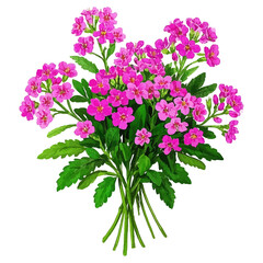 A beautiful bouquet of pink and purple flowers with green leaves, isolated on a white background, showcases the floral beauty of spring blossoms