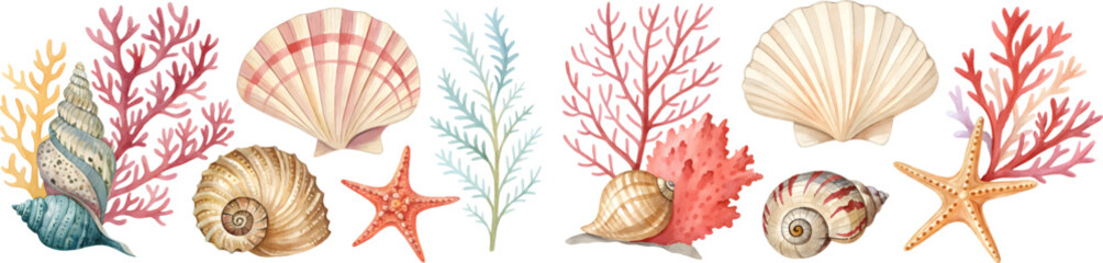 set of vector watercolor seashells and corals on white