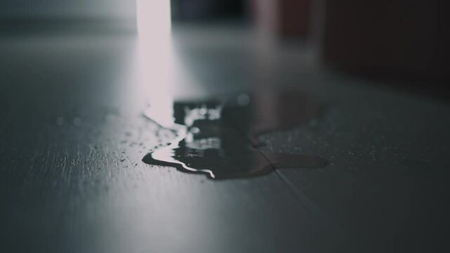 Wet laminate.
Water drops dripping on white laminate in the room.
Water dripping from the roof.
leaking roof