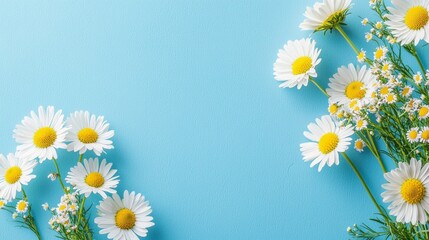 A blue background with a bunch of white flowers