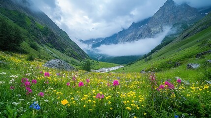 Fototapeta premium Serene Valley Landscape with Colorful Wildflowers and Majestic Mountains under Cloudy Sky