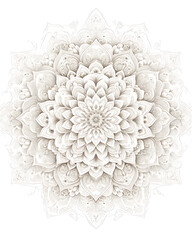 Floral flower vector Illustrations on white background