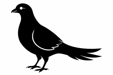Columbidae silhouette black vector