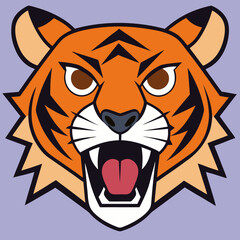 Angry tiger, Sumatran tiger Panthera tigris  sumatrae beautiful animal and his portrait