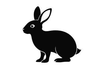 Fototapeta premium black rabbit isolated on white