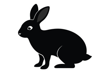black and white rabbit