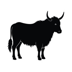 black bull isolated on white