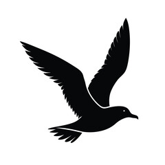 black headed gull isolated