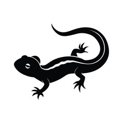 lizard isolated on white