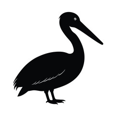 illustration of a pelican