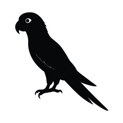 vector illustration of a bird
