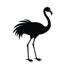 illustration of a flamingo