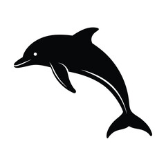 Fototapeta premium dolphin isolated on white background