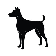 black dog isolated on white background