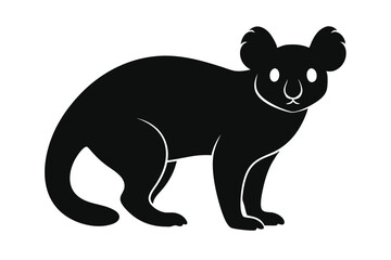 black bear cub