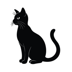 black cat vector illustration