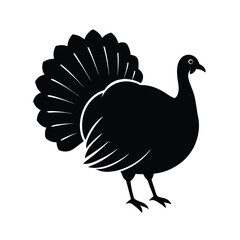 vector illustration of a turkey