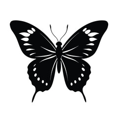 butterfly on white background
