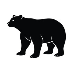 vector illustration of a bear