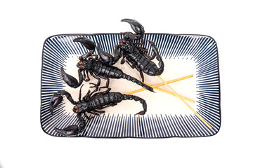 Roasted insects. Amazing exotic snack street food. Three fried Scorpions - Heterometrus laoticus on skewers ready to eat in ceramic plate isolated on white background.