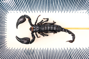 Roasted insects. Amazing exotic snack street food. Fried Scorpion - Heterometrus laoticus on skewers ready to eat in ceramic plate isolated on white background.