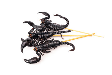 Roasted insects. Amazing exotic snack street food. Three fried Scorpions - Heterometrus laoticus  on skewers isolated on white background.