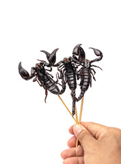 Image of Roasted insects. Amazing exotic snack street food. Three fried scorpions - Heterometrus laoticus on skewers in hand isolated on white background. printed on Printed Glass Splashbacks