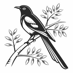 cuckoo black silhouette icon vector