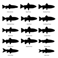 Vector Illustration of Trout Fish Silhouette Isolated on White Background for Fishing Logos, Seafood Restaurant Branding, Nature Art Prints, and Freshwater Wildlife Educational Designs