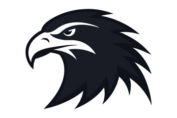 eagle head vector illustration