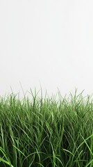 Fototapeta premium Lush Green Grass Against a Clean White Background Offering a Fresh and Natural Aesthetic for Various Design Projects and Creative Applications