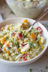 Chinese cabbage salad with bell peppers and vegetables in a bowl fresh and homemade prepared, Delicious barbecue salad