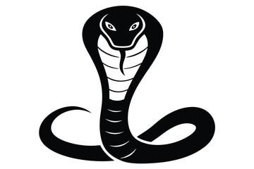 snake vector illustration