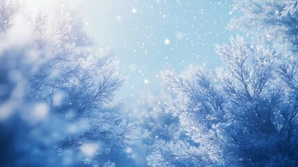 Ethereal winter canopy: glimmering snowflakes dancing amongst icy branches against a soft blue sky.