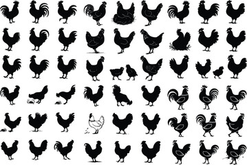Naklejka premium Roosters, Hens, and Chickens Silhouette | Rural Farm Animals and Domestic Bird Illustration Roosters, Hens, and Chickens Silhouette | Farm Birds and Poultry Vector Collection