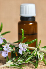 A brown glass bottle of rosemary essential oil with a white cap, surrounded by fresh green rosemary sprigs and light purple flowers on a textured beige background. 