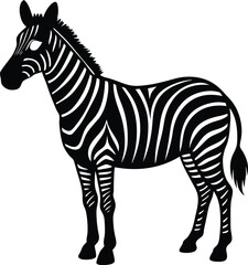 zebra vector illustration