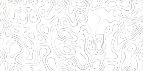 Artistic digital abstract composition with flowing organic patterns, dynamic line intersections, and detailed textural overlays

